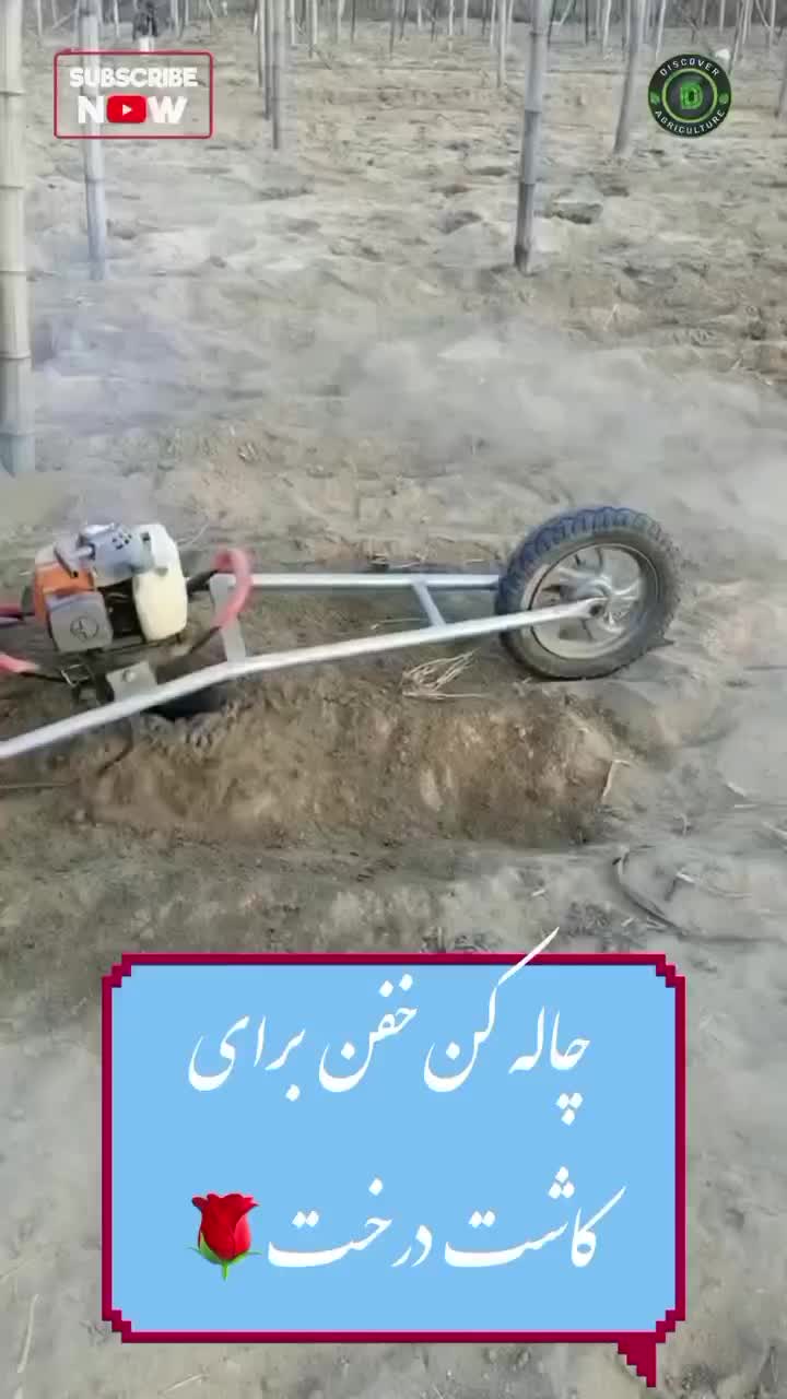 چال کن گودال کن نهال کن|خدمات باغبانی و درختکاری|نجف‌آباد, کشاورز|دیوار