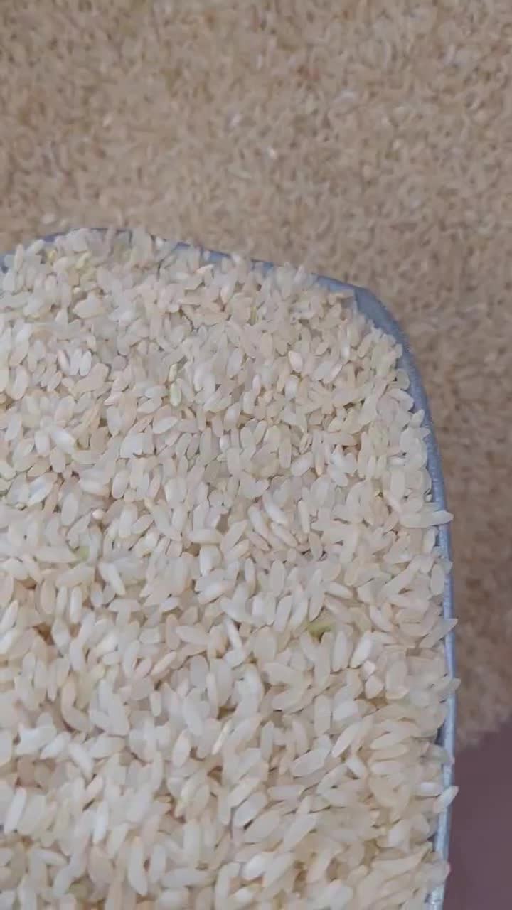 برنج کامفیروزی نو|خوردنی و آشامیدنی|شیراز, شهرک گلها|دیوار