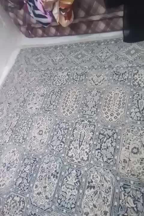 فرش ۶متری|فرش|رشت, دیانتی|دیوار