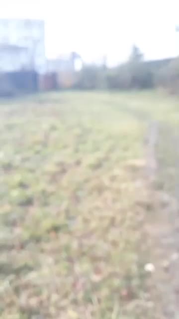 فروش قطعه زمینی به مساحت ۲۵۰۰مربع(سنددار)|فروش زمین و ملک کلنگی|رشت, لاکان شهر|دیوار