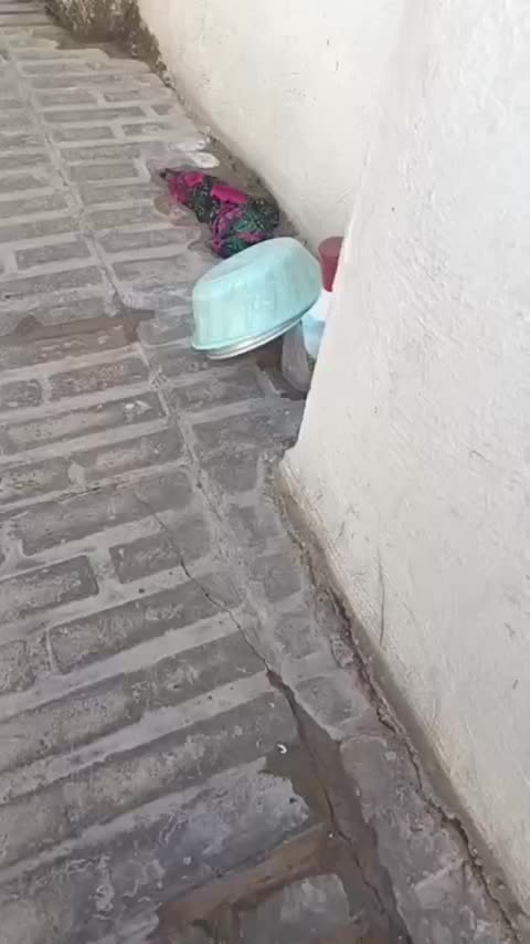 نیسان دیزل|خودرو سواری و وانت|ایلام, |دیوار