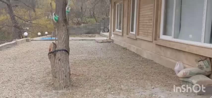 ویلا استخردار کلیبر|اجارهٔ کوتاهمدت ویلا و باغ|کلیبر, |دیوار