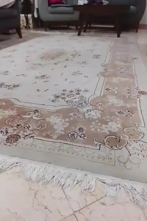 نظافت منزل و امور خانه داری|خدمات نظافت|تهران, سلسبیل جنوبی|دیوار