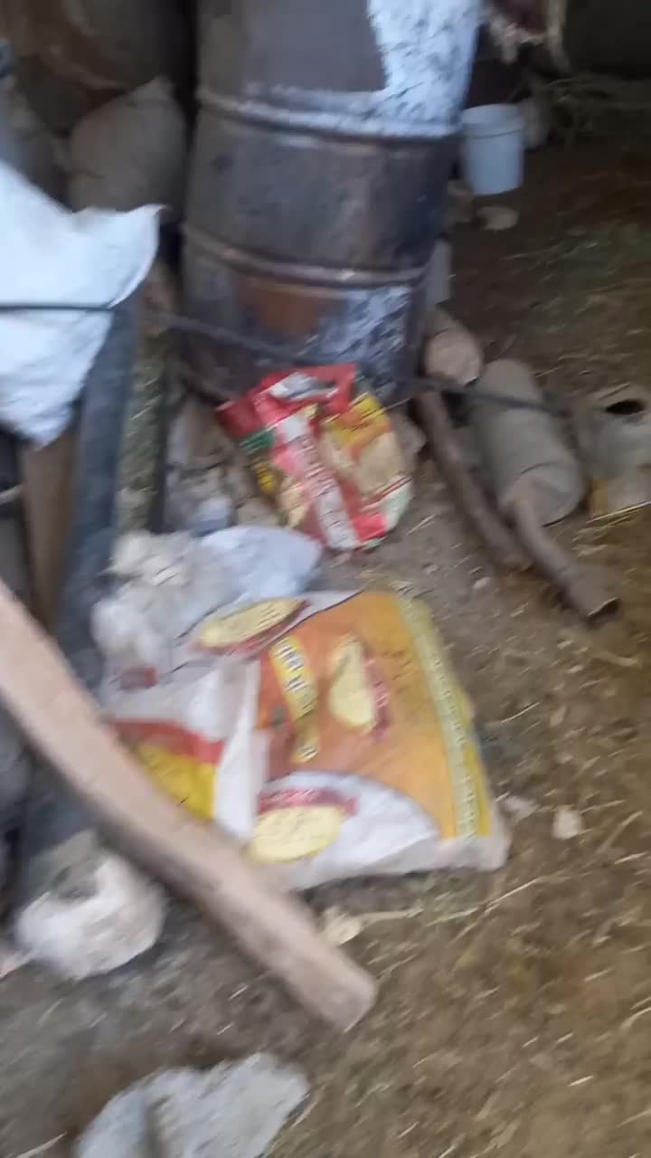 سه تا بره|حیوانات مزرعه|صمصامی, |دیوار