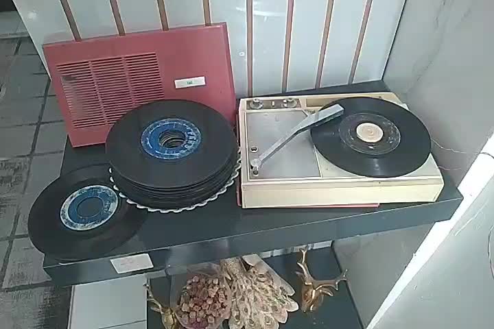 گرام|کلکسیون اشیاء عتیقه|رضویه, |دیوار