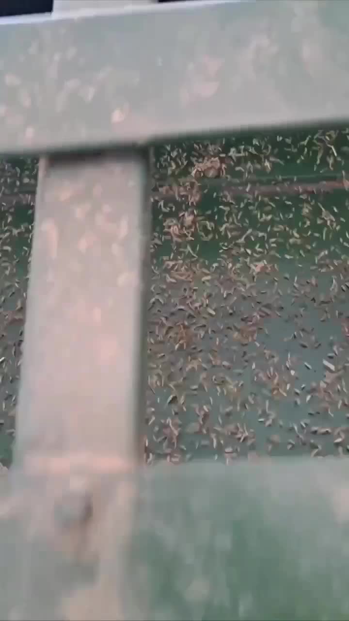 فروش عمده زیره سبز و سیاه صادراتی|خوردنی و آشامیدنی|تهران, سیمای ایران|دیوار