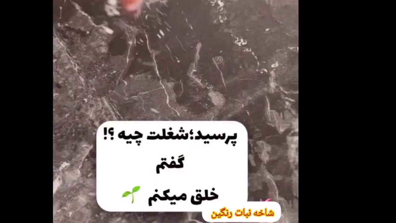 نبات گیاهی( دمنوشی)|خوردنی و آشامیدنی|قم, صفائیه|دیوار