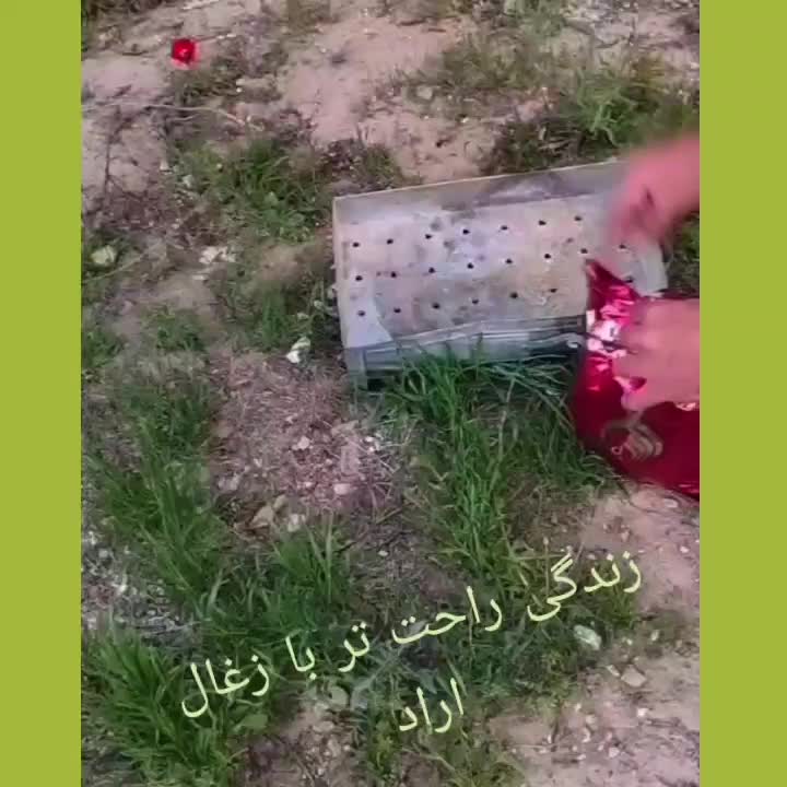 زغال|عمده‌فروشی|مشهد, سرافرازان|دیوار