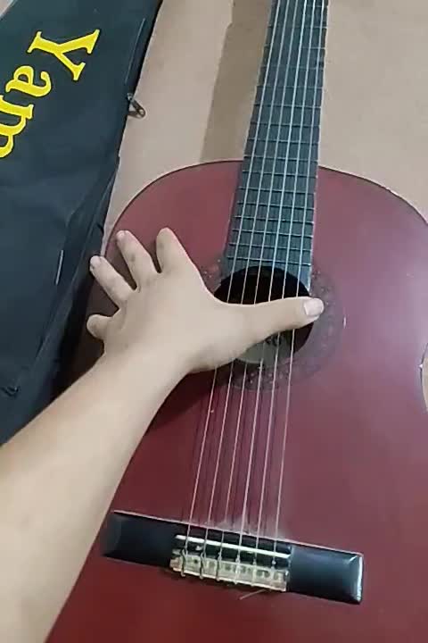 گیتار|گیتار، بیس، امپلیفایر|فلاورجان, |دیوار