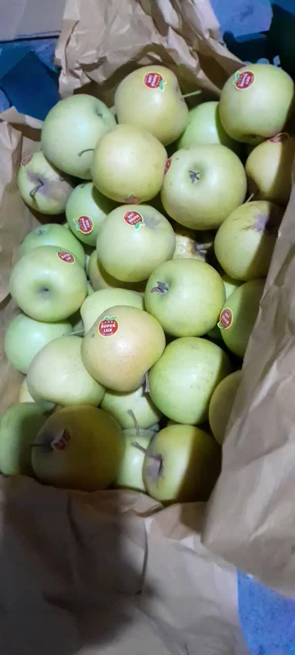 سیب|عمده‌فروشی|نقده, |دیوار