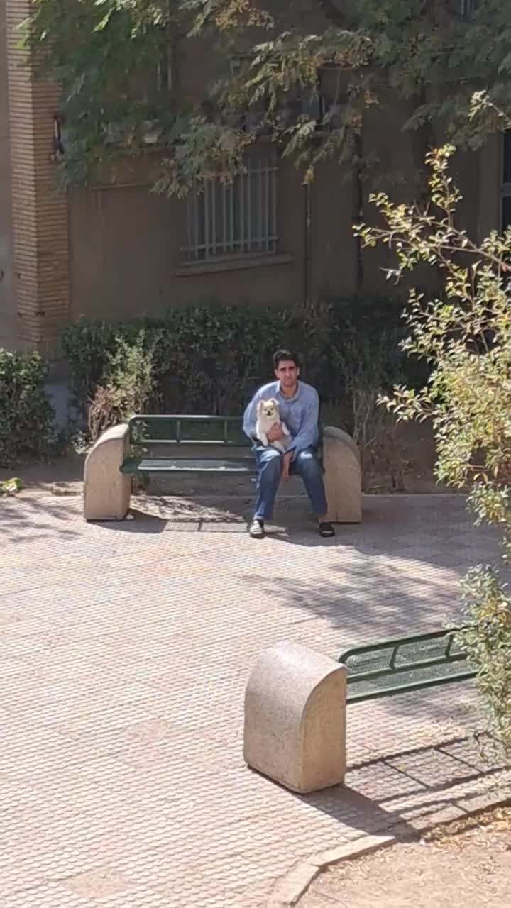 اپارتمان ۴۳ متری تمیز زیر قیمت بدلیل مهاجرت|فروش آپارتمان|اسلامشهر, شهرک قائمیه|دیوار