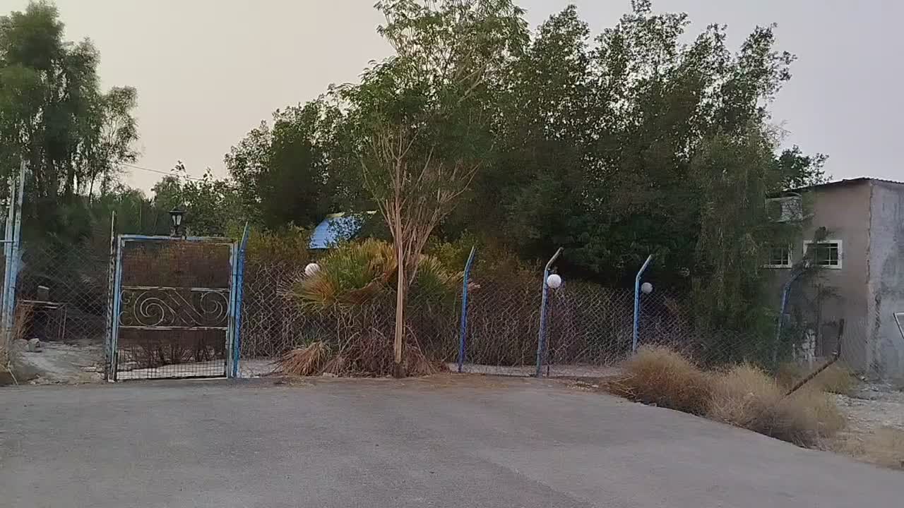 اجاره زمین باغ شهری|اجارهٔ دفتر صنعتی، کشاورزی، تجاری|لار, |دیوار