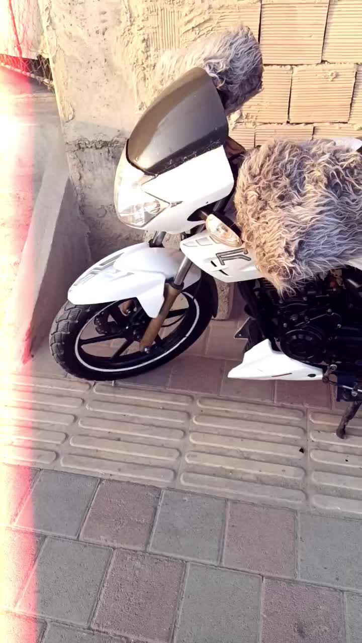 آپاچی 180|موتورسیکلت|تهران, پونک|دیوار