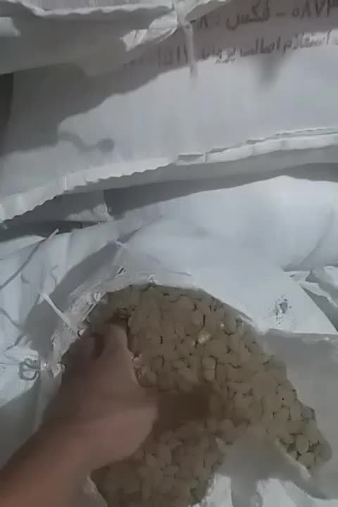 تخمه کدو آجیلی|خوردنی و آشامیدنی|دیواندره, |دیوار