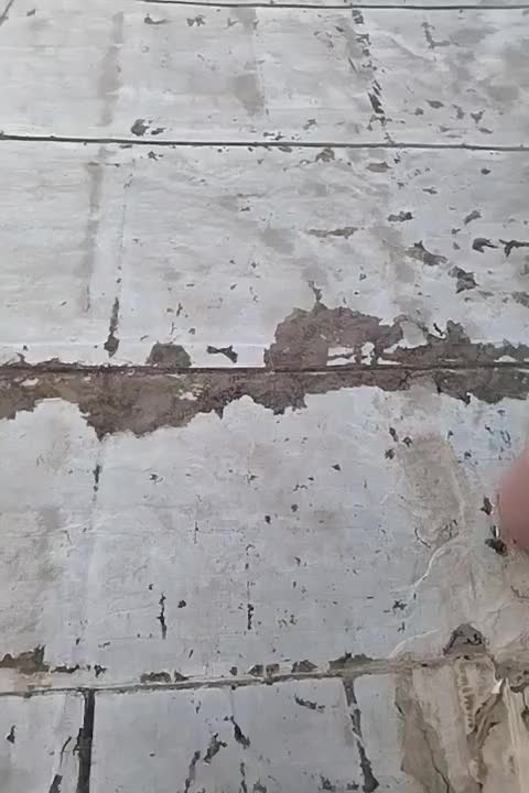 مرغداری5000قطعه ای|فروش دفتر صنعتی، کشاورزی، تجاری|موچش, |دیوار