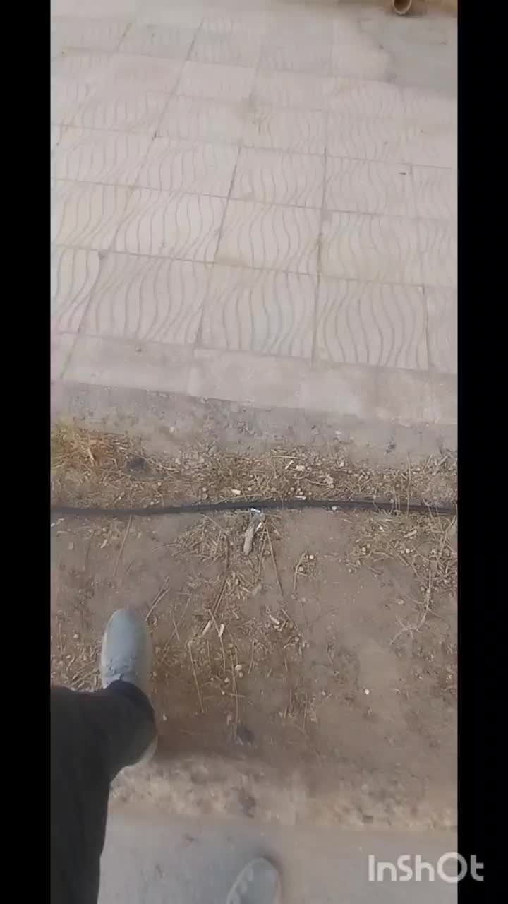 خدمات حمل و نقل منزل با کارگر اتوبار معین|خدمات حمل و نقل|یزد, |دیوار