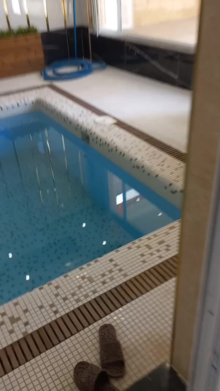 فروش فرش و موکت کمال ۱۲۰۰شانه|فرش|تبریز, |دیوار