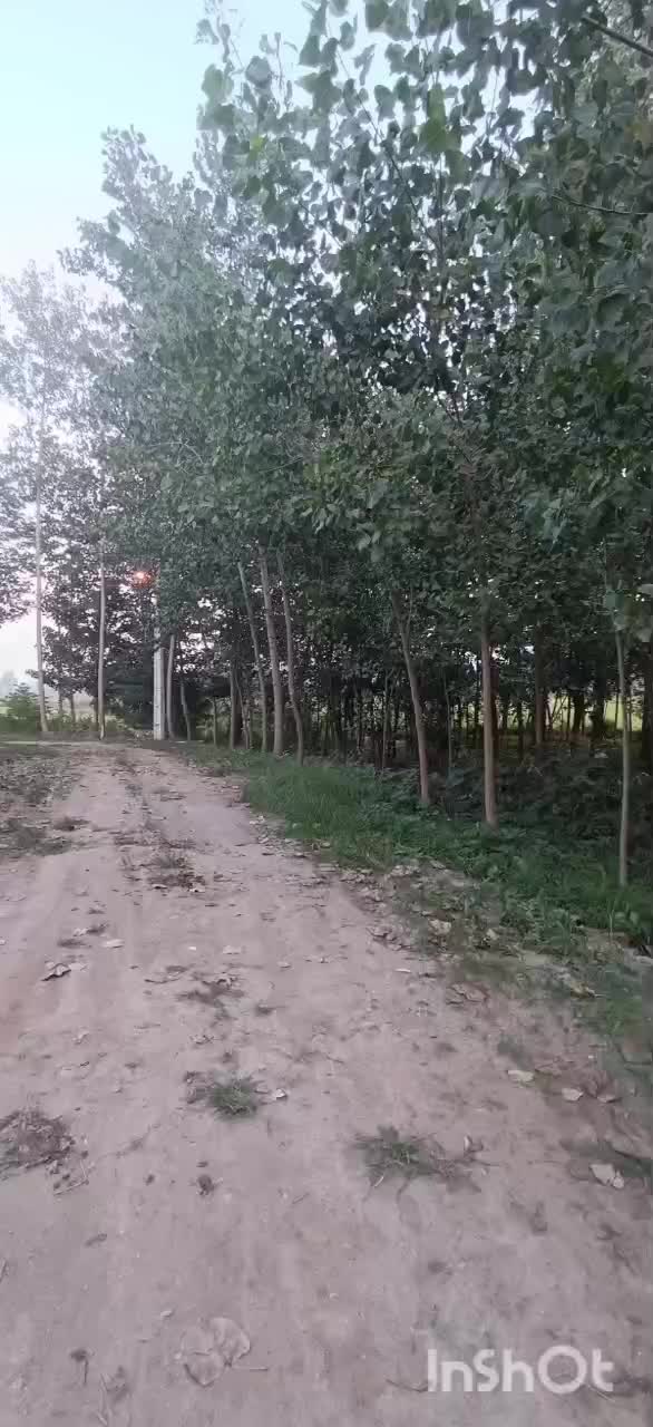 ویلایی نوساز سند تک برگ در روستای زیبای تجن گوکه|فروش خانه و ویلا|لاهیجان, پردسر|دیوار