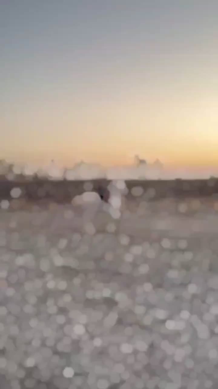 اسب وارداتی عرب|اسب و تجهیزات اسبسواری|شاندیز, |دیوار