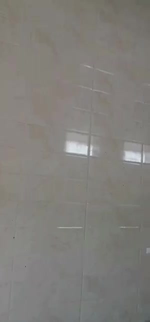 اجاره کارگاه.. سوله جهت انبار|اجارهٔ دفتر صنعتی، کشاورزی، تجاری|بوشهر, |دیوار