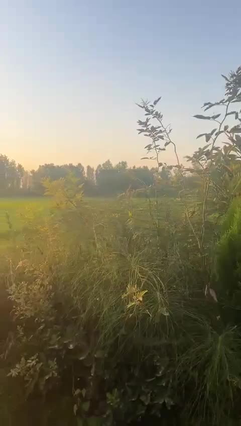 اجاره ویلا نوساز برای تولد و جشن|اجارهٔ کوتاه‌مدت ویلا و باغ|رشت, بیجارپس|دیوار