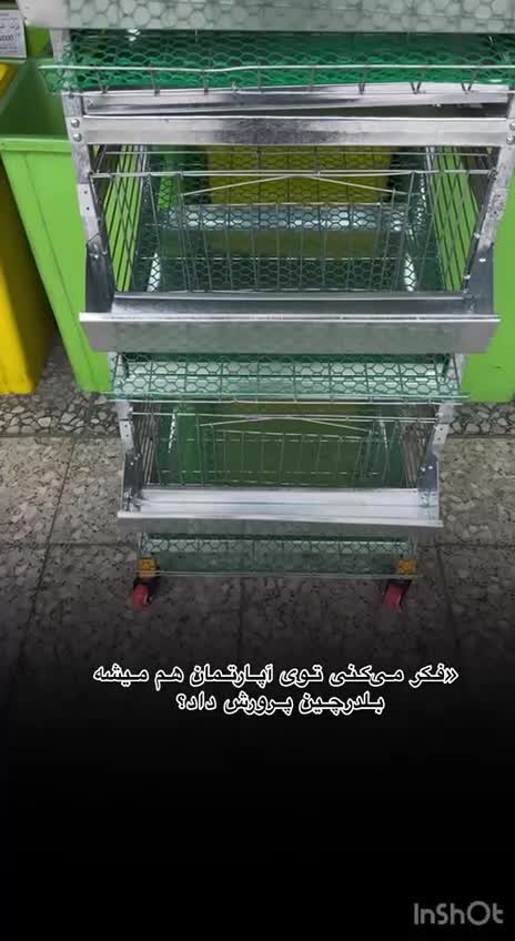 در*آپارتمان یا% بلدرچین مینی و قفس مرغ|لوازم جانبی حیوانات|آستارا, |دیوار