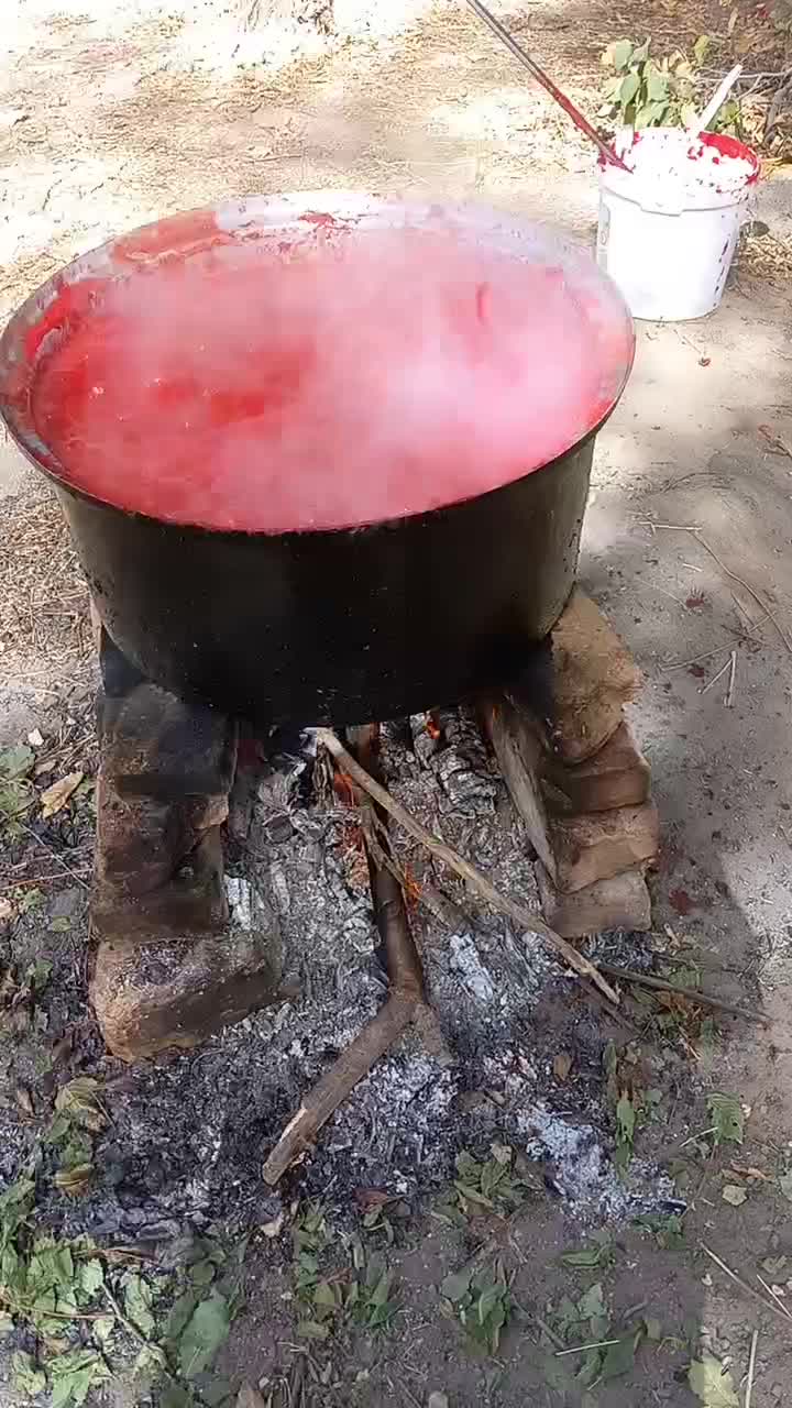 رب ارکانیک آتیشی|خوردنی و آشامیدنی|مشهد, دانشجو|دیوار