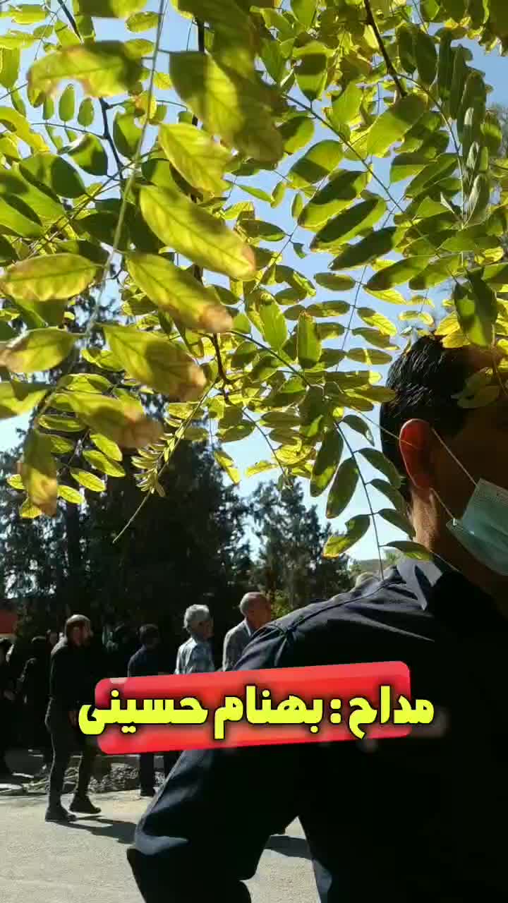 مداح ترک قشقایی اصیل/محلی.لری/ مداحی ترکی دشتی|خدمات پذیرایی، مراسم|شیراز, رکن‌آباد|دیوار