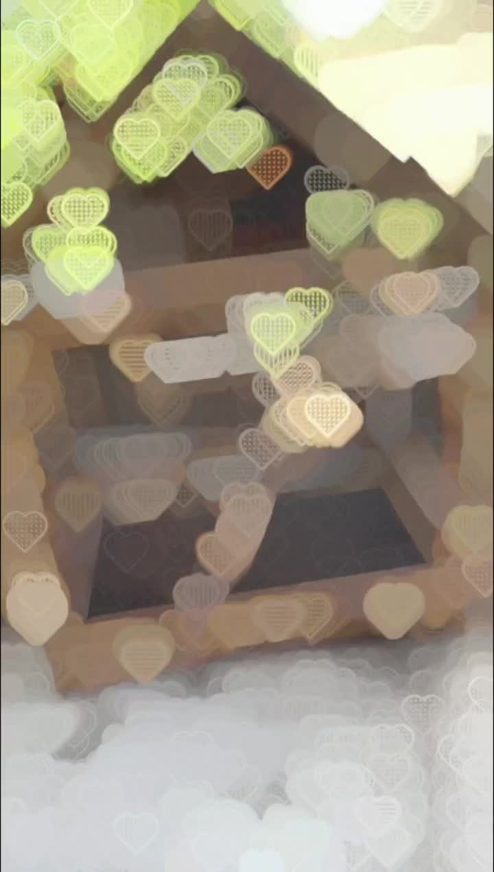 ساخت انواع توری یا قفس پرنده|لوازم جانبی حیوانات|تربت جام, علوی|دیوار