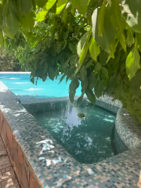 کردان ۶ خوابه ویلا باغ کوهسار مشجر|فروش خانه و ویلا|کوهسار (البرز), |دیوار