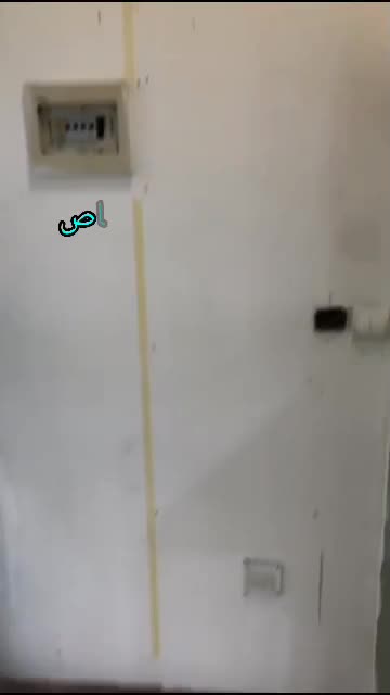 خدمات نقاشی ساختمان با ۱۵ سال تجربه در بندرعباس|خدمات پیشه و مهارت|بندرعباس, |دیوار