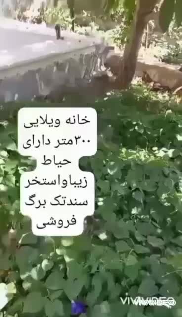۳۰۰مترخانه ویلایی باحیاط واستخر|فروش خانه و ویلا|سربند, |دیوار