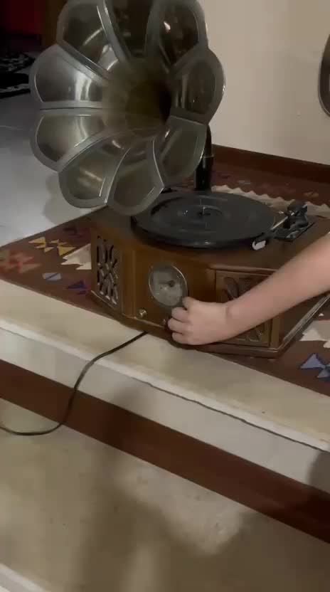 تزئینی|کلکسیون اشیاء عتیقه|کاشمر, |دیوار