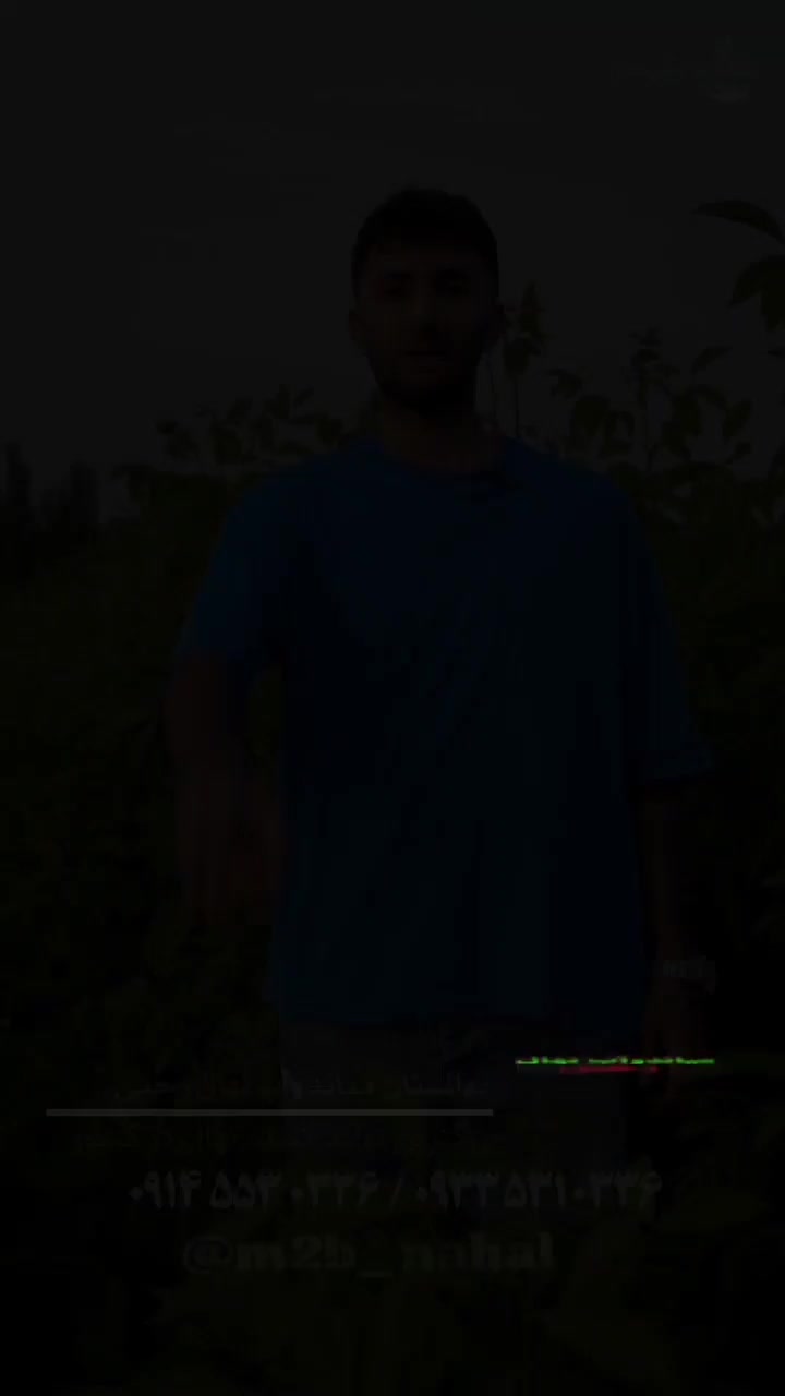 تولید و فروش نهال گردو جمال دیرگل|خدمات باغبانی و درختکاری|فرخ‌شهر, |دیوار