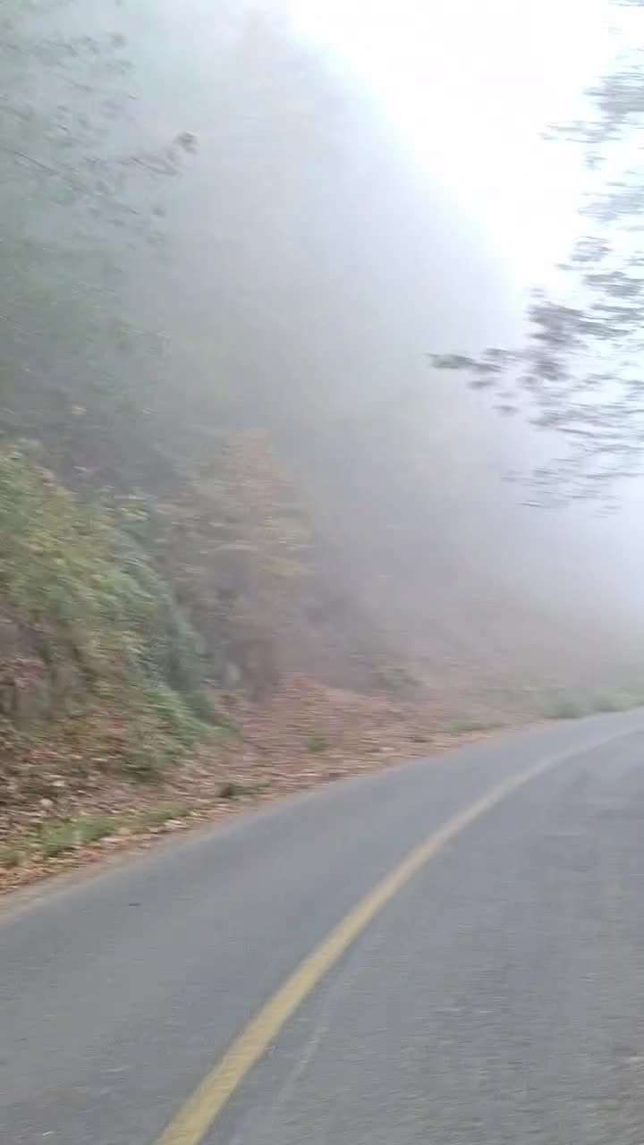 سرویس دربستی|خدمات حمل و نقل|پرهسر, |دیوار