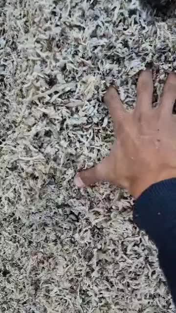 تفاله میاندوآب درجه۱|لوازم جانبی حیوانات|مشگین شهر, |دیوار