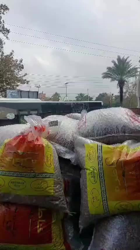 باقالی بزر خوراکی بزری|خوردنی و آشامیدنی|همدان, |دیوار