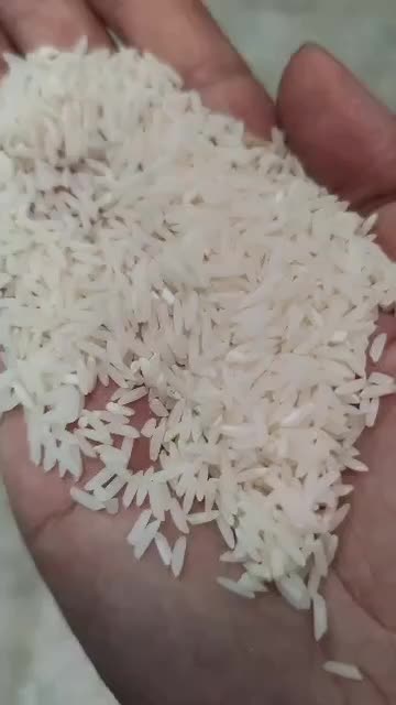 برنج تازه فریدونکنار طارم هاشمی باعطر وطعم خوب|خوردنی و آشامیدنی|سمنان, |دیوار