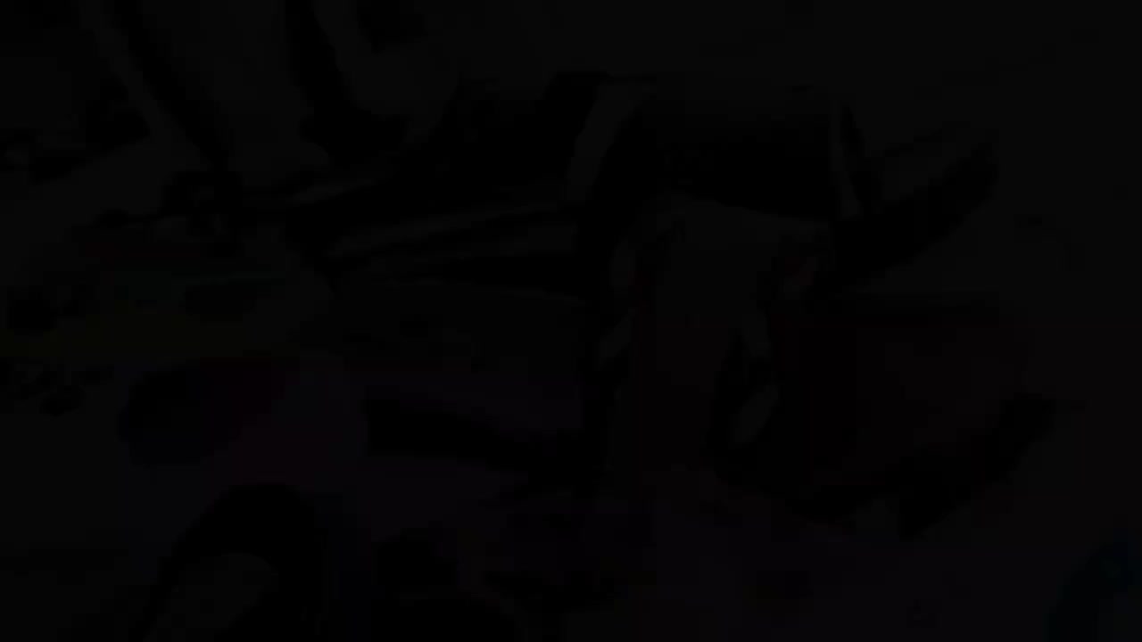 حراج دمپایی و صندل واسپرت|کیف، کفش، کمربند|بیرجند, |دیوار