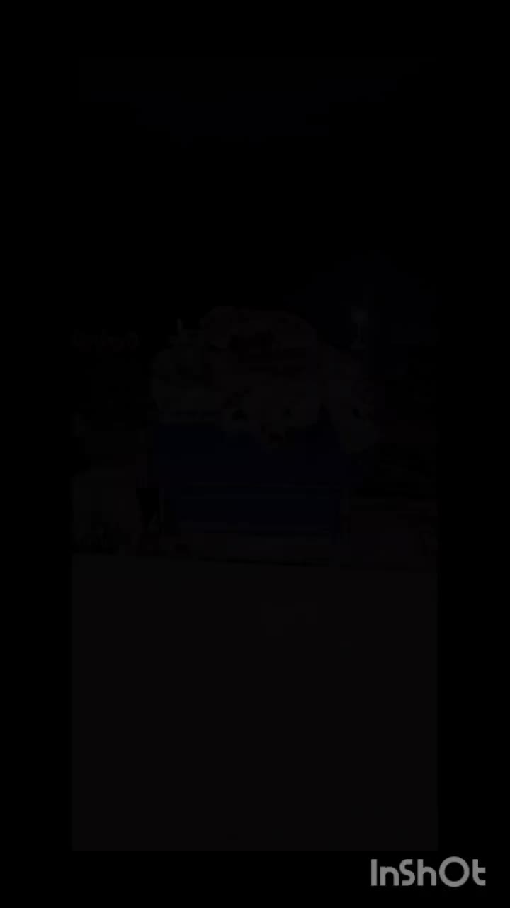 بار جدید رسید، جدیدترینها و بروزترینها در قصر فرش|فرش|بوشهر, |دیوار