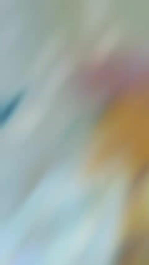 دوچرخه|دوچرخه، اسکیت، اسکوتر|زابل, |دیوار