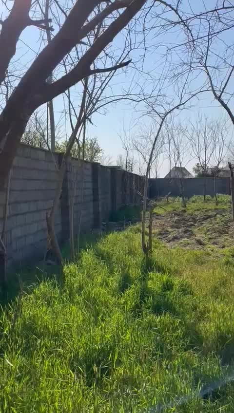زمین روستایی هزار متری سند دار|فروش زمین و ملک کلنگی|رشت, پیرسرا|دیوار