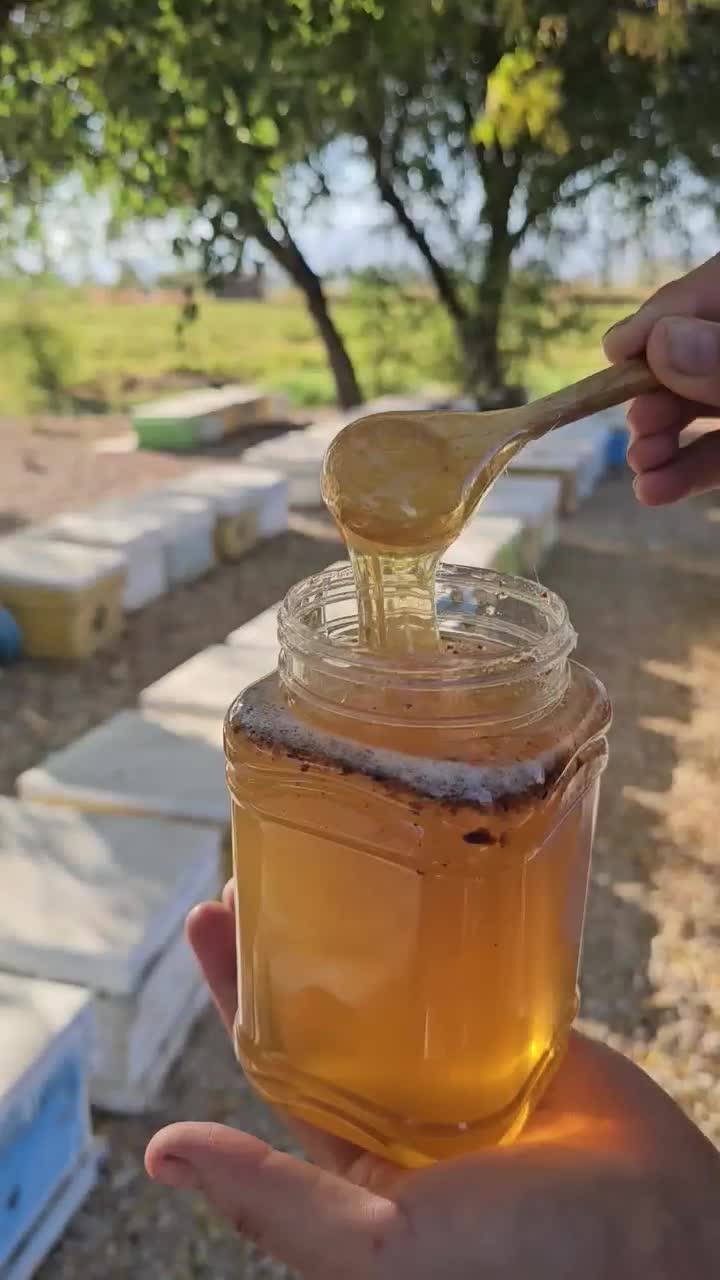 شهر عسل در بندرعباس  ...|خوردنی و آشامیدنی|بندرعباس, |دیوار