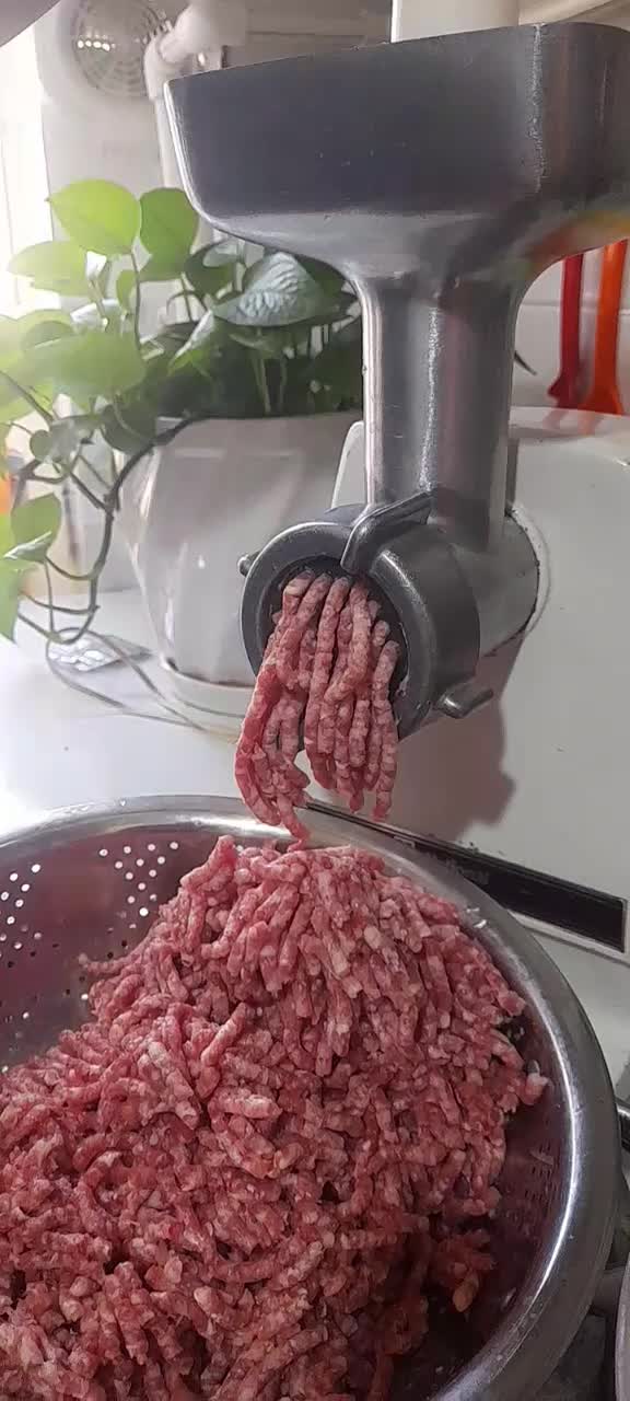 چرخ گوشت ناسیونال|خردکن، آسیاب، غذاساز|کرمانشاه, |دیوار