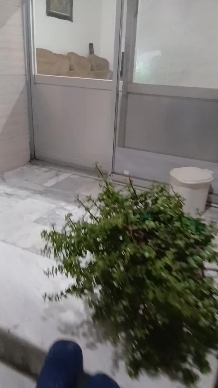 اجاره سوییت واقع در بابل با پارکینگ|اجارهٔ کوتاه‌مدت آپارتمان و سوئیت|بابل, |دیوار