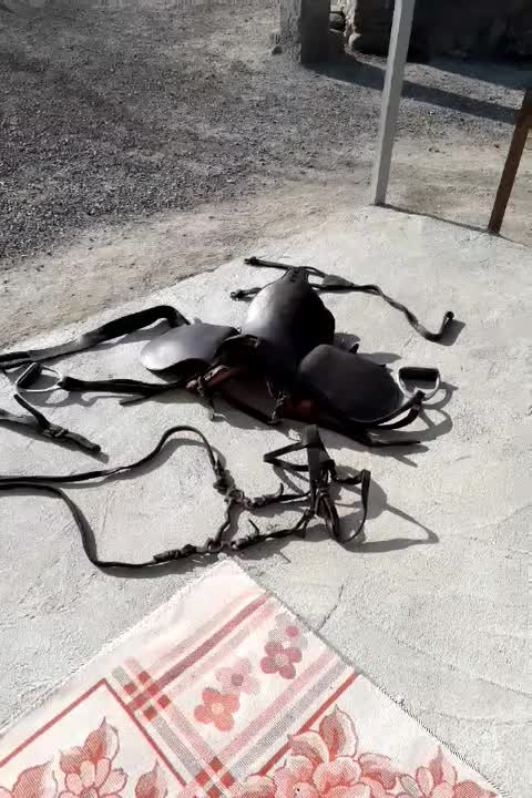 زین نو اصلا استفاده نشده با تمام وسایل|اسب و تجهیزات اسب‌سواری|قشلاق دشت, |دیوار