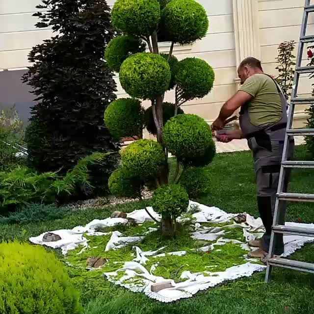 باغبانی طراحی باغچه گل درخت فضای سبز با چک مدت دار|خدمات باغبانی و درختکاری|کرج, گوهردشت|دیوار