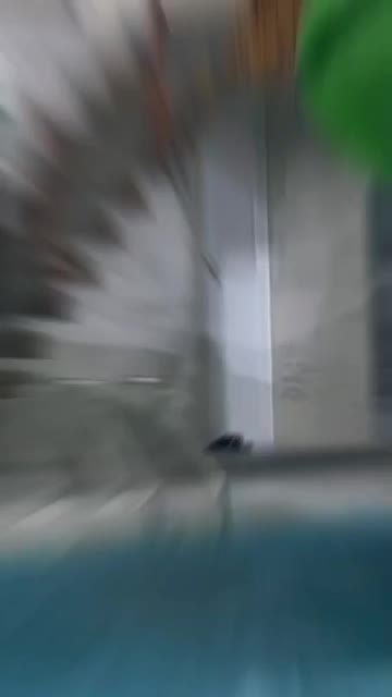 ویلای استخردار لاکچری با سرسره آبی اصفهان|اجارهٔ کوتاه‌مدت ویلا و باغ|اصفهان, شهرک زاینده رود|دیوار