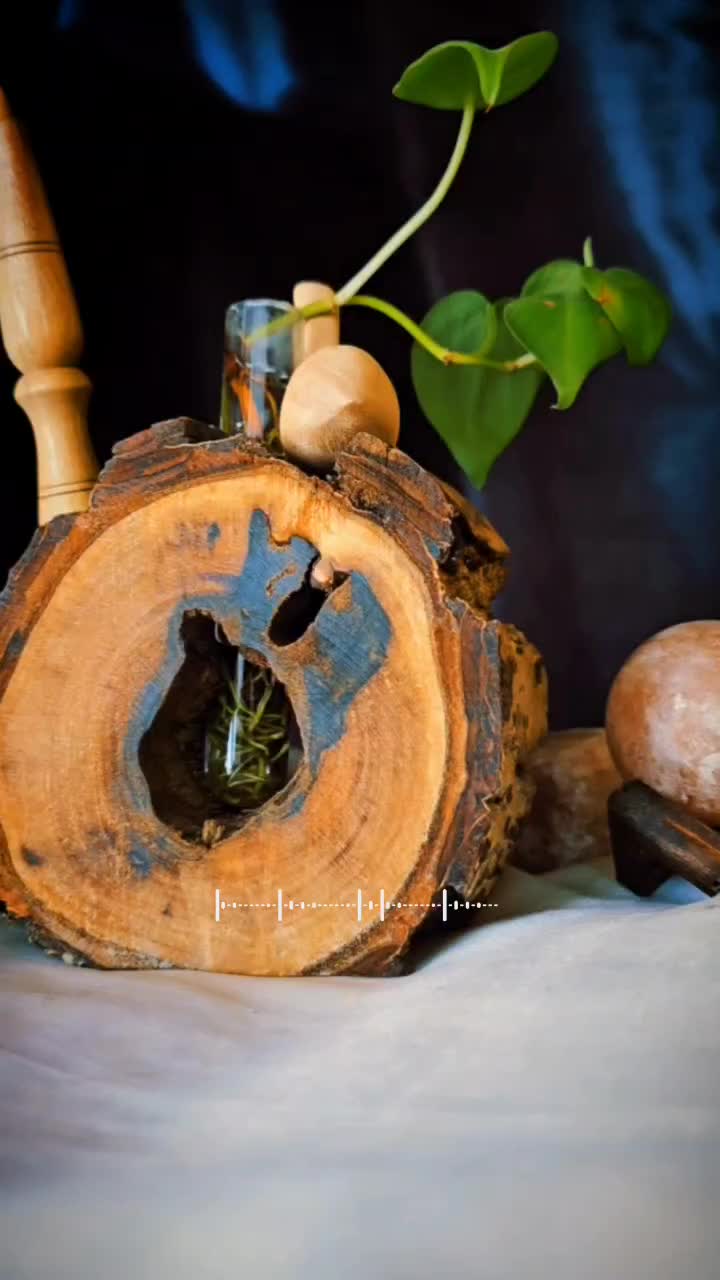 گلدان چوب طبیعی/همراه با مرغ آمین و خودکار چوبی|صنایع دستی و سایر لوازم تزئینی|قم, نیروگاه|دیوار