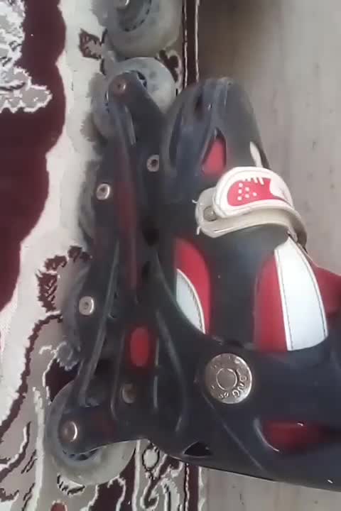 اسکیت|دوچرخه، اسکیت، اسکوتر|پاکدشت, پاکدشت (مامازند)|دیوار